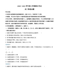 湖北省荆州市六县市区2020-2021学年高二（上）期末物理试题