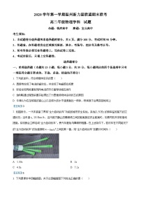 浙江省温州市新力量联盟2020-2021学年高二（上）期末联考物理试题