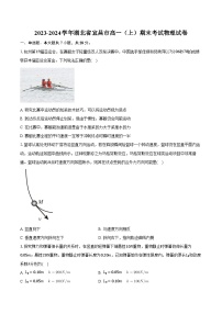 2023-2024学年湖北省宜昌市高一（上）期末考试物理试卷(含解析）