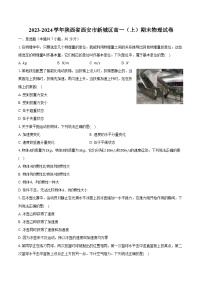 2023-2024学年陕西省西安市新城区高一（上）期末物理试卷（含解析）