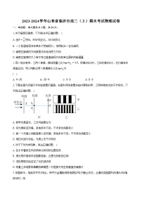 2023-2024学年山东省临沂市高二（上）期末考试物理试卷（含解析）