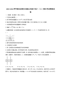 2023-2024学年湖北省部分省级示范高中高二（上）期末考试物理试卷（含解析）