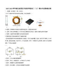 2023-2024学年湖北省武汉外国语学校高二（上）期末考试物理试卷（含解析）