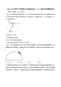 2023-2024学年广东省阳江市高新区高二（上）期末考试物理试卷（含解析）