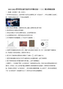 2023-2024学年河北省石家庄市辛集市高一（上）期末物理试卷（含解析）