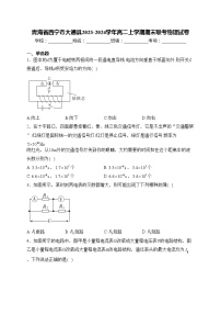 青海省西宁市大通县2023-2024学年高二上学期期末联考物理试卷(含答案)