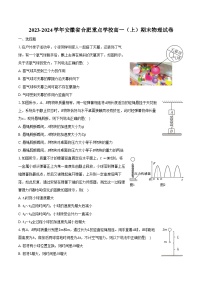 2023-2024学年安徽省合肥重点学校高一（上）期末物理试卷（含解析）