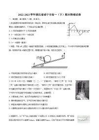 2022-2023学年湖北省咸宁市高一（下）期末物理试卷（含详细答案解析）