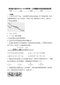 贵州省六盘水市2023-2024学年高一上学期期末质量监测物理试卷(含答案)