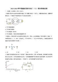 2023-2024学年福建省龙岩市高二（上）期末物理试卷（含解析）