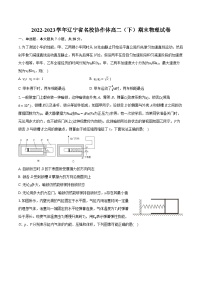 2022-2023学年辽宁省名校协作体高二（下）期末物理试卷（含详细答案解析）