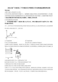 2024届广东省高三下学期百日冲刺联合学业质量监测物理试卷