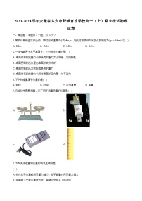 2023-2024学年安徽省六安市舒城育才学校高一（上）期末考试物理试卷（含解析）