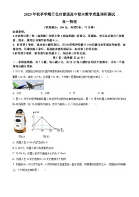 2024壮族自治区百色高一上学期期末考试物理含解析