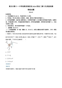 2024届重庆市第十一中学校教育集团高高三下学期第六次质量检测（开学）物理试题  （解析版）