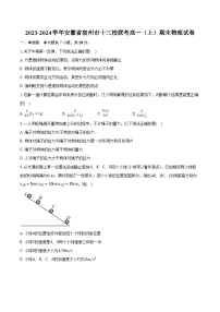 2023-2024学年安徽省宿州市十三校联考高一（上）期末物理试卷（含解析）