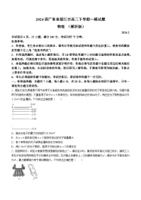 2024届广东省湛江市高三下学期一模试题 物理 （解析版）