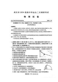 2024届湖北武汉高三下学期二月调研考试物理试题+答案