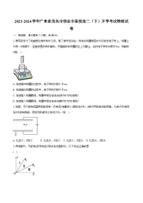 2023-2024学年广东省茂名市信宜市某校高二（下）开学考试物理试卷（含解析）