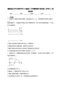 湖南省长沙市长郡中学2024届高三下学期寒假作业检测（月考六）物理试卷(含答案)