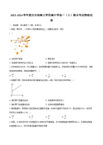 2023-2024学年重庆市西南大学附属中学高一（上）期末考试物理试卷（含解析）