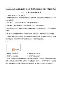 2023-2024学年湖北省武汉市东西湖区华中师范大学第一附属中学高一（上）期末考试物理试卷（含解析）