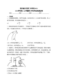 四川省兴文第二中学校2023-2024学年高二上学期第三学月考试物理试卷(含答案)