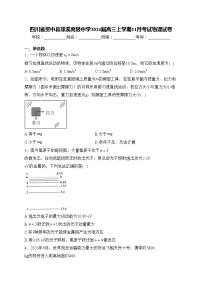 四川省资中县球溪高级中学2024届高三上学期11月考试物理试卷(含答案)