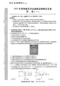 281，2024届贵州省高三下学期模拟预测信息卷物理试题(一)