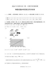 300，2024届安徽省合肥市高三一模物理试题(1)