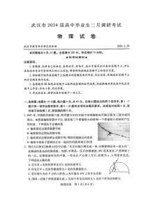 湖北省武汉市2023-2024学年高三年级下学期二月调研考试物理试题及答案