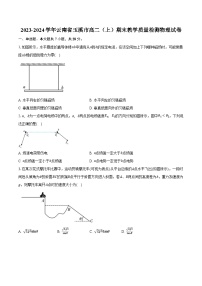 2023-2024学年云南省玉溪市高二（上）期末教学质量检测物理试卷（含解析）