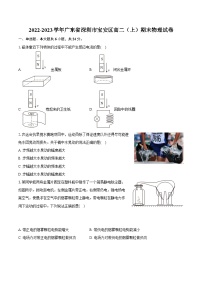 2022-2023学年广东省深圳市宝安区高二（上）期末物理试卷（含解析）