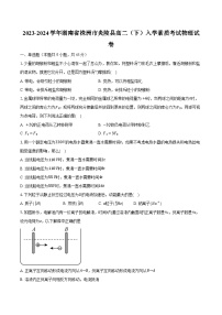 2023-2024学年湖南省株洲市炎陵县高二（下）入学素质考试物理试卷（含解析）