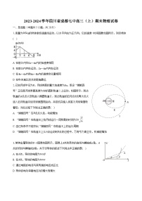 2023-2024学年四川省成都七中高三（上）期末物理试卷（含解析）