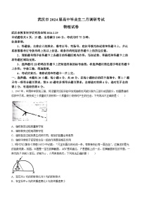 湖北省武汉市2023-2024学年高三下学期年级二月调研考试物理试卷Word版含答案