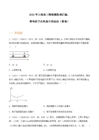 2023年上海高三物理模拟卷汇编：带电粒子在电场中的运动