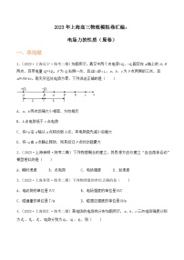 2023年上海高三物理模拟卷汇编：电场力的性质