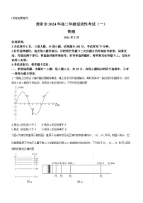 2024届贵州省贵阳市高三适应性考试物理试题（一）