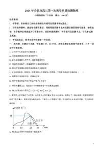 2024届安徽省合肥市高三一模物理试题无答案