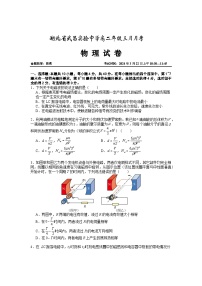 湖北省武昌实验中学2023-2024学年高二下学期3月月月考物理试卷（Word版附答案）