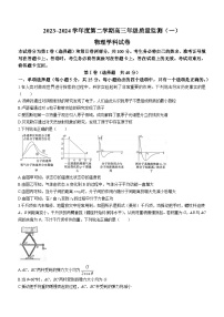 天津市南开区2023-2024学年高三下学期一模物理试卷（Word版附答案）