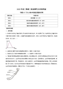 高三物理二轮高频考点冲刺突破专题10三大力场中动量定理的应用(原卷版+解析)