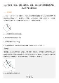 2023年五省（云南、安徽、黑龙江、山西、吉林）高三物理模拟卷汇编：共点力平衡（解析版）