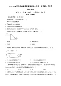 河南省新乡市原阳县实验高级中学2023-2024学年高一下学期3月月考物理试题（原卷版+解析版）