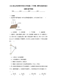 2024届山西省朔州市部分学校高三下学期二模考试理科综合试题-高中物理（含解析）