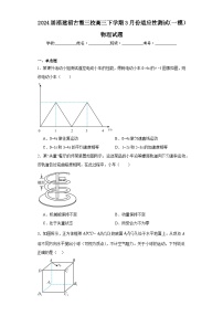 2024届福建福古霞三校高三下学期3月份适应性测试（一模）物理试题（含解析）