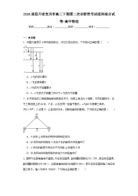 2024届四川省宜宾市高三下期第二次诊断性考试理科综合试卷-高中物理（含解析）