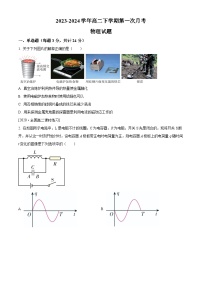 山东省聊城市临清市2023-2024学年高二下学期3月月考物理试卷（原卷版+解析版）