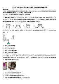 2023-2024学年天津市高三下学期3月物理模拟试题试卷